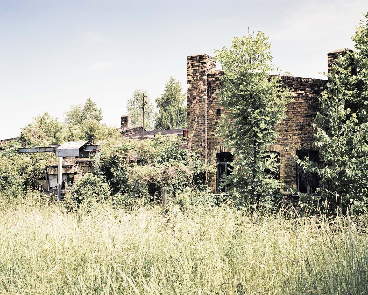 Bitterfeld IV